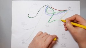 Как собрать проводку на двигателе 164 fml