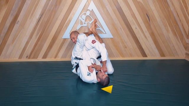 Brian T-City Ortega On The 32 Principles Of Jiu-Jitsu