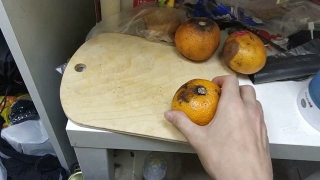 ДЕГУСТАЦИЯ ЕДЫ ИЗ ПОМОЙКИ!Отличная фрига) смотреть онлайн