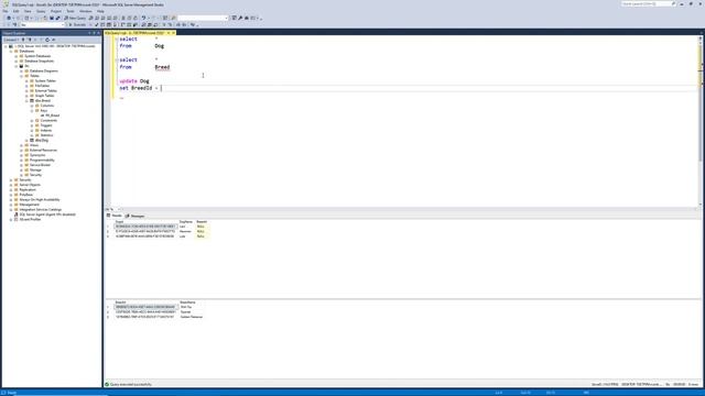 Lesson 6: Create a One-To-Many Database Relationship in SQL смотреть онлайн