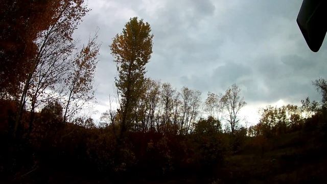 ОХОТА НА ФАЗАНА С БИГЛЕМ 2019 ГОД смотреть онлайн