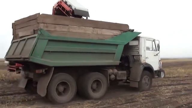 КАРТОШКА БЕЗ ТРУДА НЕ РОДИТСЯ НИКОГДА! смотреть онлайн