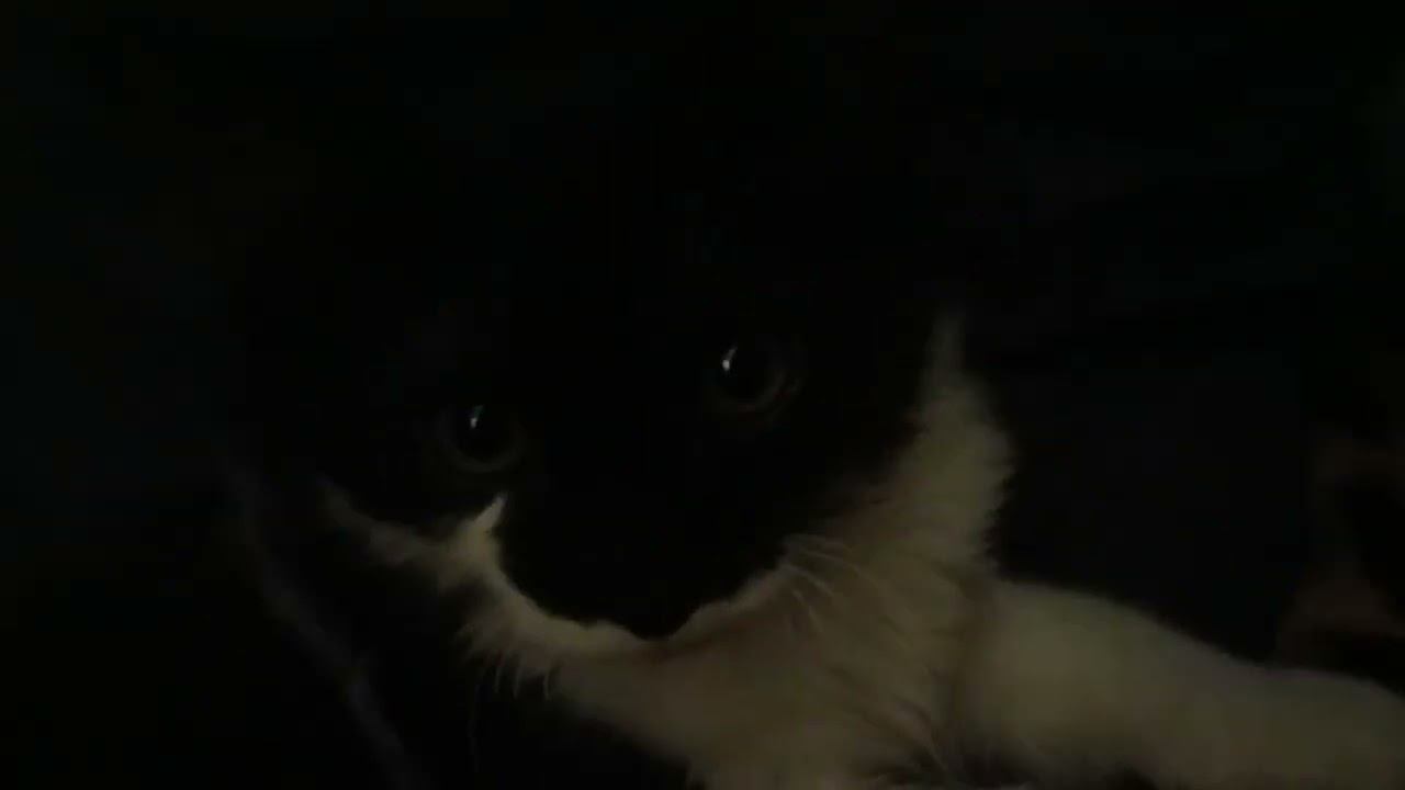 3 ноября 2023 г. смотреть онлайн