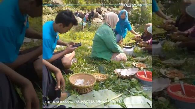 Foto Foto Panen Padi Disawah  KT TUNAS MUDA ALIAS SUPER JUNIOR