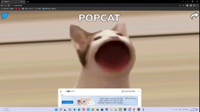 Auto Clicking In PopCat Click Game?