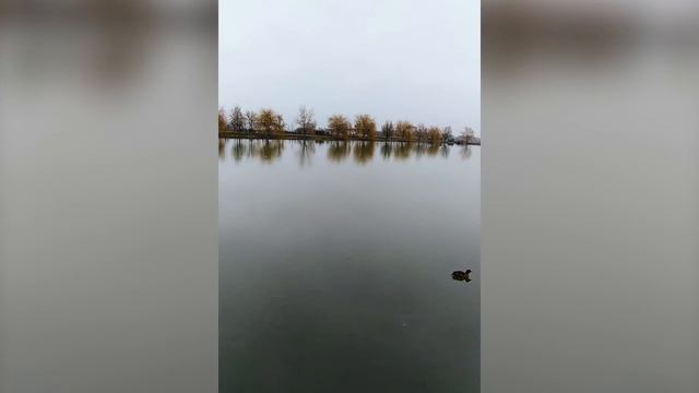 Кабардино-Балкария . Чегемские водопады зимой. Замок Шато Эркен смотреть онлайн
