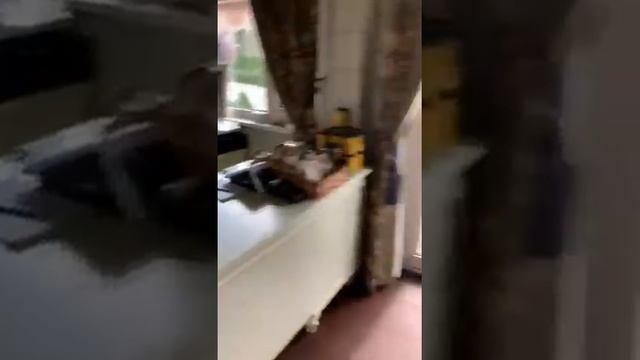 Магазин у д. Новоселки и д. Собаки но, Наро-Фоминский район. смотреть онлайн