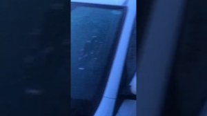 Подогрев лобового стекла в деле на РИО X-LINE