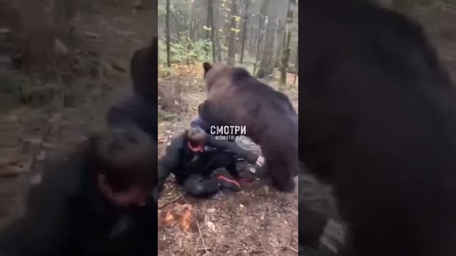 Где-то в Сибири смотреть онлайн