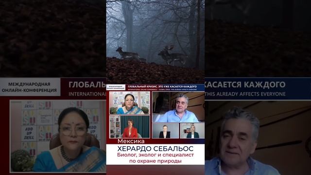 Почему животные вымирают как динозавры? #shorts смотреть онлайн