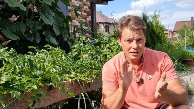 "хищный" гриб БОВЕРИЯ, против хруща, колорадского жука и проволочника в одном флаконе смотреть онлайн