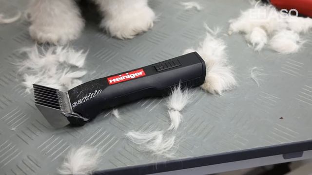 Saphir Basic Heiniger