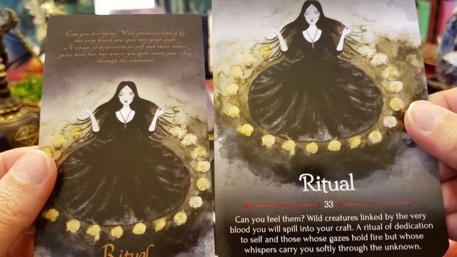 Unboxing Seasons of the Witch Samhain Oracle2020 side by side SOTWSO 2019???♀️?♂️?? смотреть онлайн
