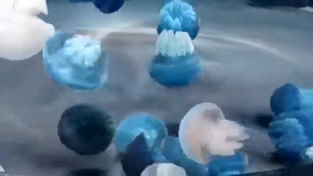 ?Голубые медузы? смотреть онлайн