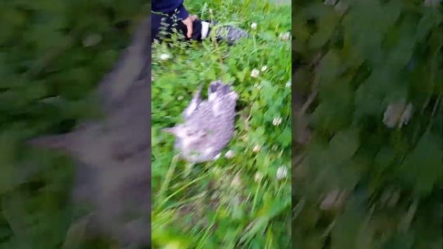 ОНИ СТРАШНЫЕ смотреть онлайн