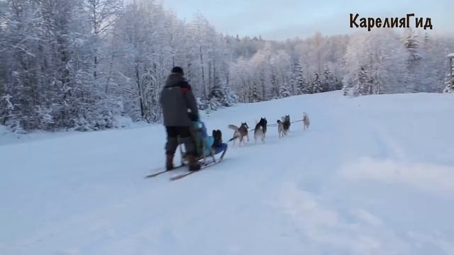 Туры в Карелию зимой. Отдых в Карелии на Новый год. смотреть онлайн