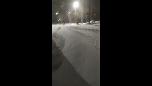 Дороги в Змеиногорске утром 4 февраля смотреть онлайн