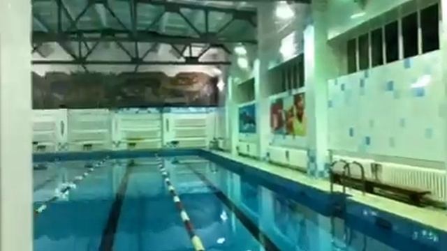 Бассейн МБУ ДО "ЦДЮТ" заведующий спортивно-оздоровительным отделом Анна Юрьевна Хохлова смотреть онлайн