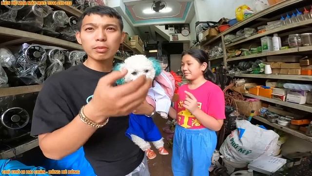 TOANG BÔNG RỒI - BÔNG ĐƯỢC NHÀ TRƯỜNG CHO ĐI THI MÔN VẼ CẤP QUỐC GIA смотреть онлайн