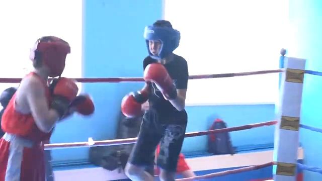 Первенство по боксу среди воспитанников ДЮСШ смотреть онлайн