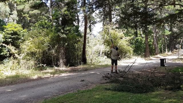 STIHL HTA 85 Battery Pole saw pruning overhanging branches on the roadside. смотреть онлайн