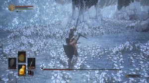 Хранитель могилы чемпиона и Великий волк, хранитель могилы || Dark Souls 3