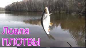 Ловля ПЛОТВЫ на поплавочную удочку с двумя крючками, Подводная съёмка. Насадка- Болтушка. Рыбалка