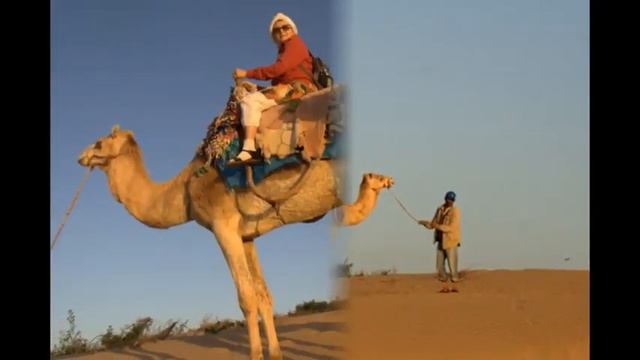 Марокко. Верблюд Канавару с голубыми очами смотреть онлайн