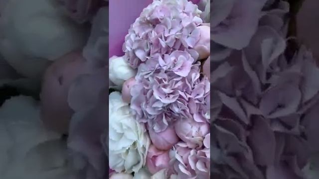 КУПИТЬ ПИОНЫ ДНЕПР. ЗАКАЗАТЬ ГОРТЕНЗИИ ДНЕПР. ДОСТАВКА БУКЕТОВ смотреть онлайн