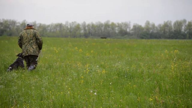 DSC 0041 смотреть онлайн