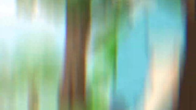 я буду их любить до конца своей жизни