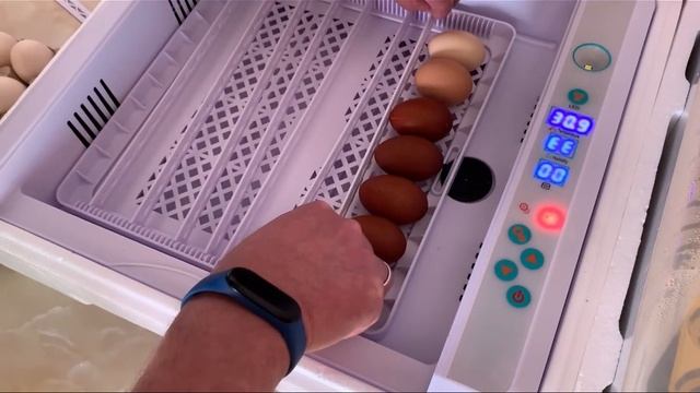 ОБЗОР ИНКУБАТОР HHD-YZ36 смотреть онлайн