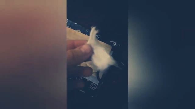 Как сделать формикарий в домашних условиях. смотреть онлайн