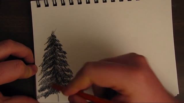 How to Draw a Basic Tree смотреть онлайн