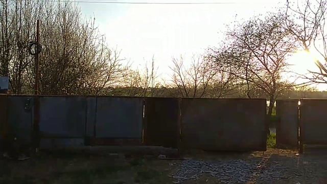 Посадили малину.Даша шьет маски.В Адыгее новый закон по карантину. смотреть онлайн