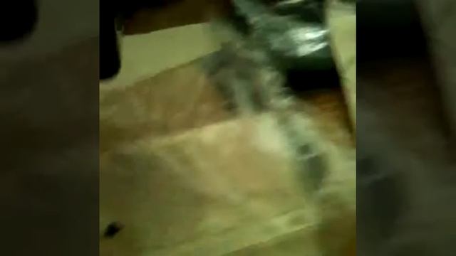 Осторожно сильный сабуфер. Новая колонка смотреть онлайн