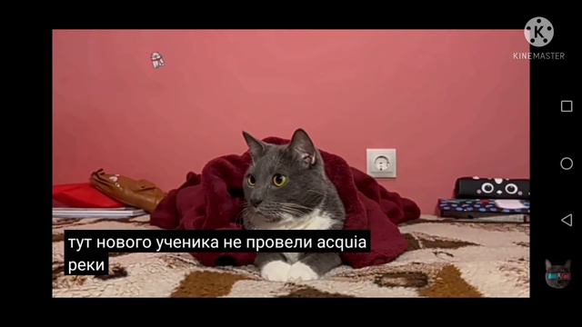 То что ты не замечаешь при первом просмотре Что то её так в субтирах смотреть онлайн