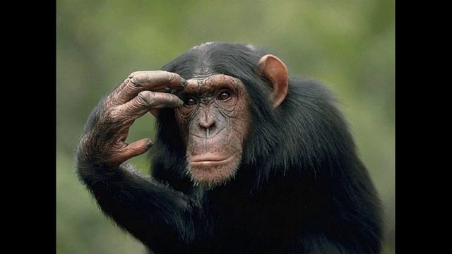 Русский образ,рэп но со смыслом смотреть онлайн