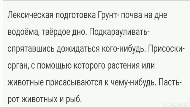 20 апреля 2020 г. смотреть онлайн