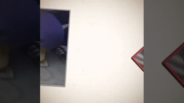 Приют "Кот и Пес" смотреть онлайн