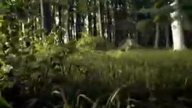 Zlaty Bazant "Кустарник" смотреть онлайн