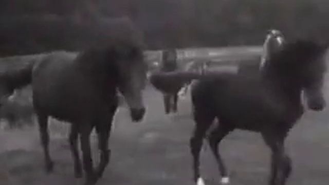 Квадрат завершает круг смотреть онлайн