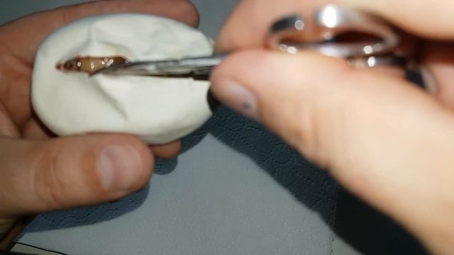 Cutting Ball Python Clutch #7 in 2019! Clown x Pin YB Clown смотреть онлайн