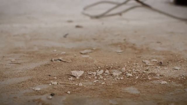 FLIR C3 サーモグラフィカメラのご紹介 смотреть онлайн