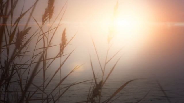 Deep Peace & Gratitude, Guided Meditation смотреть онлайн