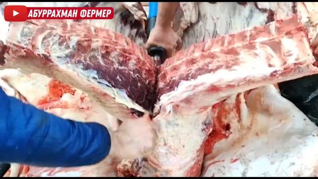 Купили корову на мясо! Прибыль 26.000₽ смотреть онлайн