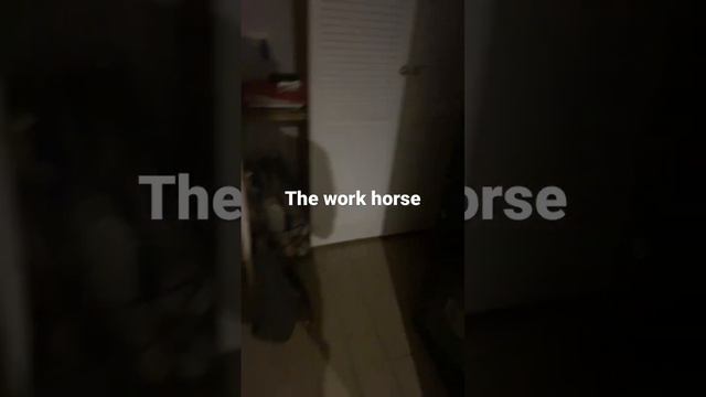 The work horse of the network #homelab #proxmox #network #business #website #docker #homenetworking смотреть онлайн