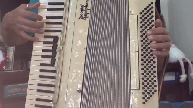 Soprano Ampliphonic Accordion 4 registers смотреть онлайн