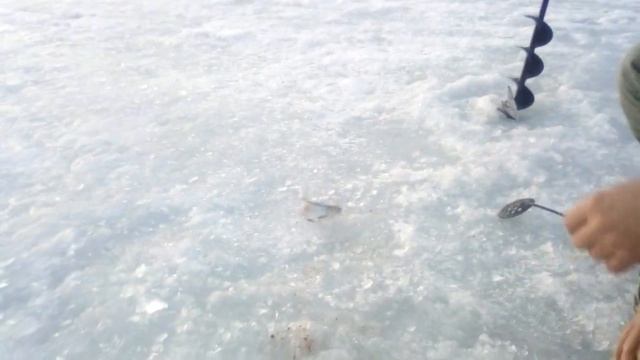 Рыбалка в марте - перед работой. смотреть онлайн