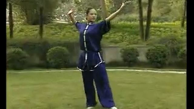 Ba Gua Lian Huan Zhang / Continuous Palms Of Eight Trigrams